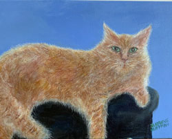 Tony the Cat